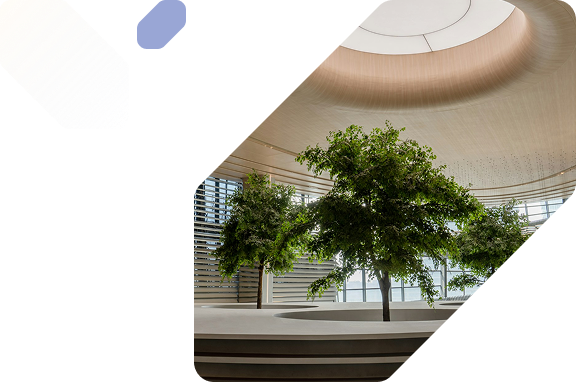 Droit de l’environnement