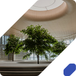 Droit de l’environnement
