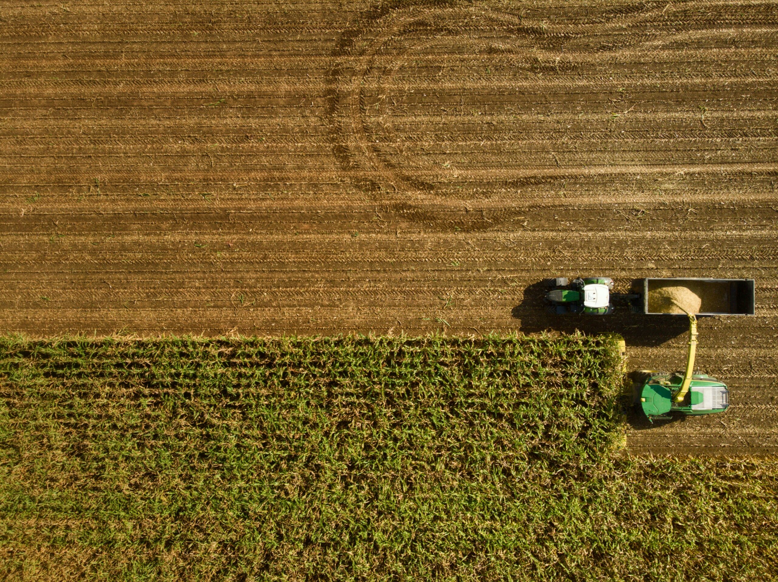 Agroalimentaire